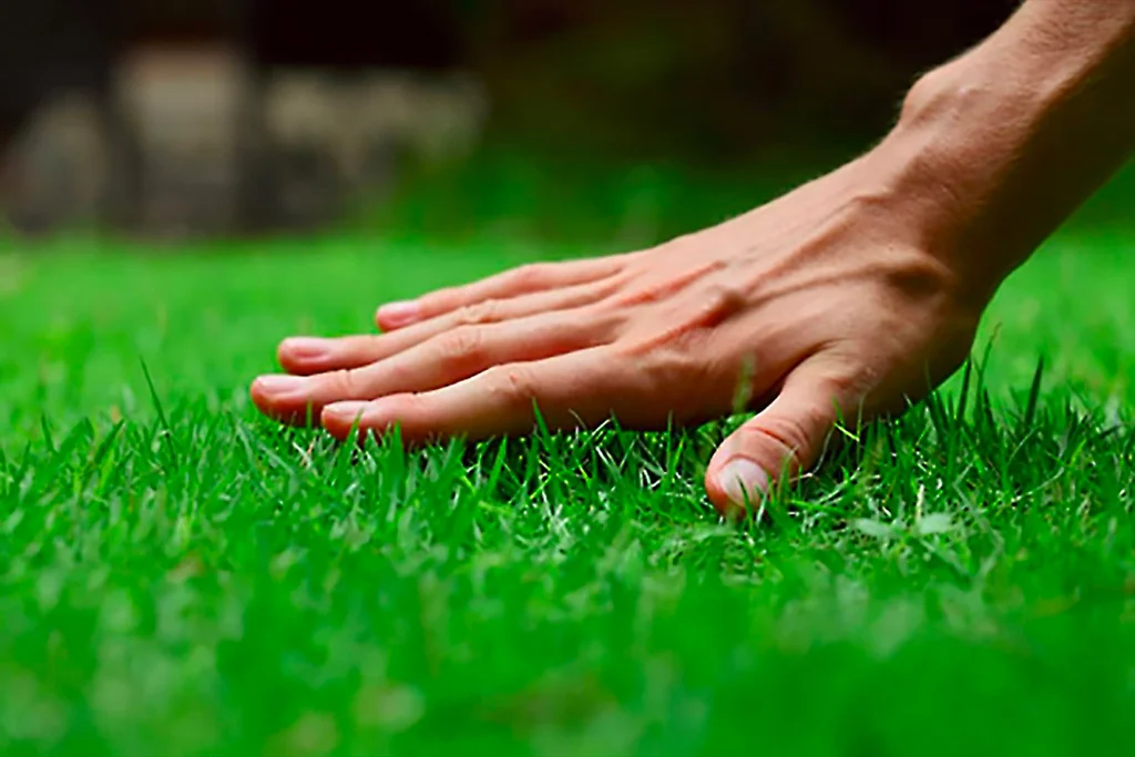 lawn care system